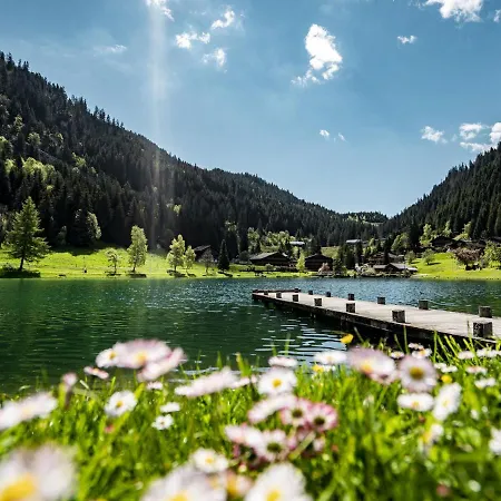Amazing In With Terrace * Châtel